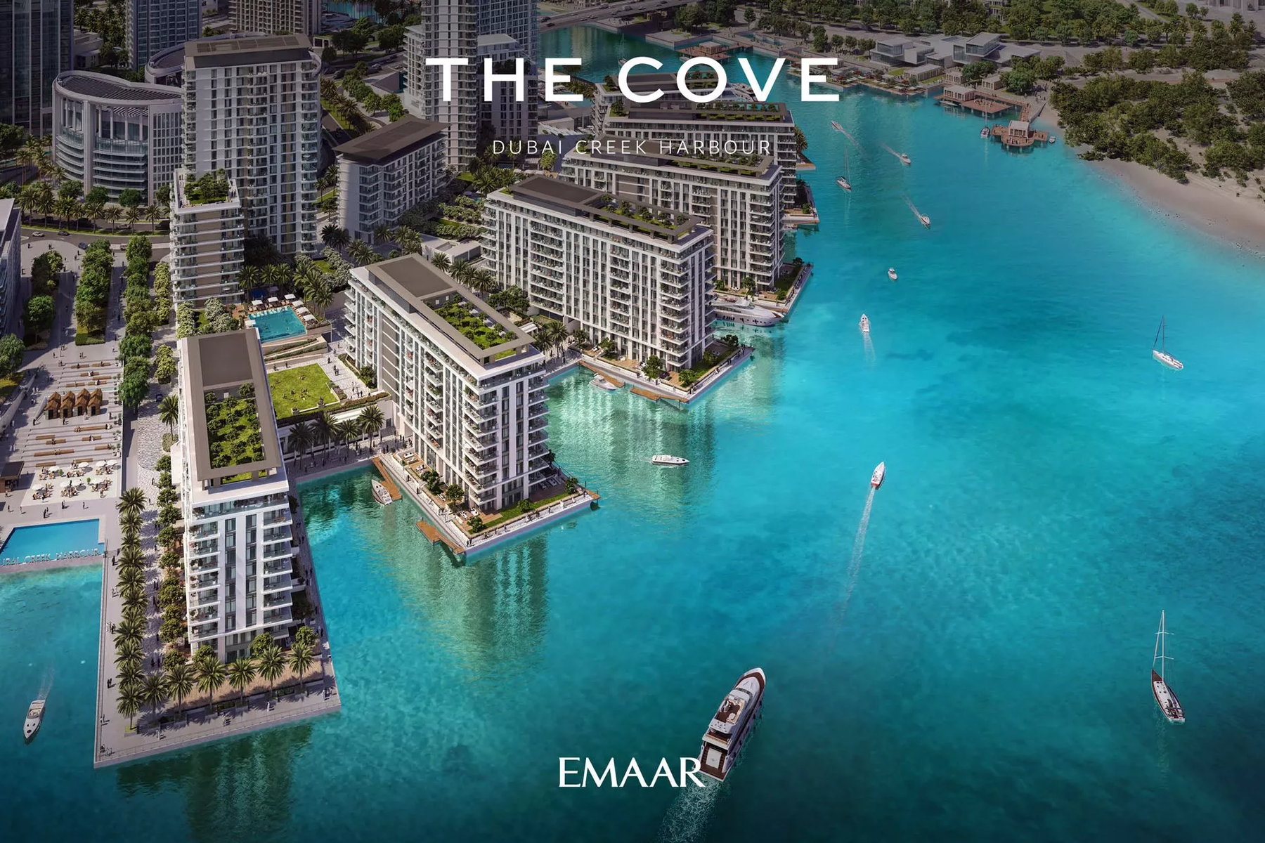 The Cove