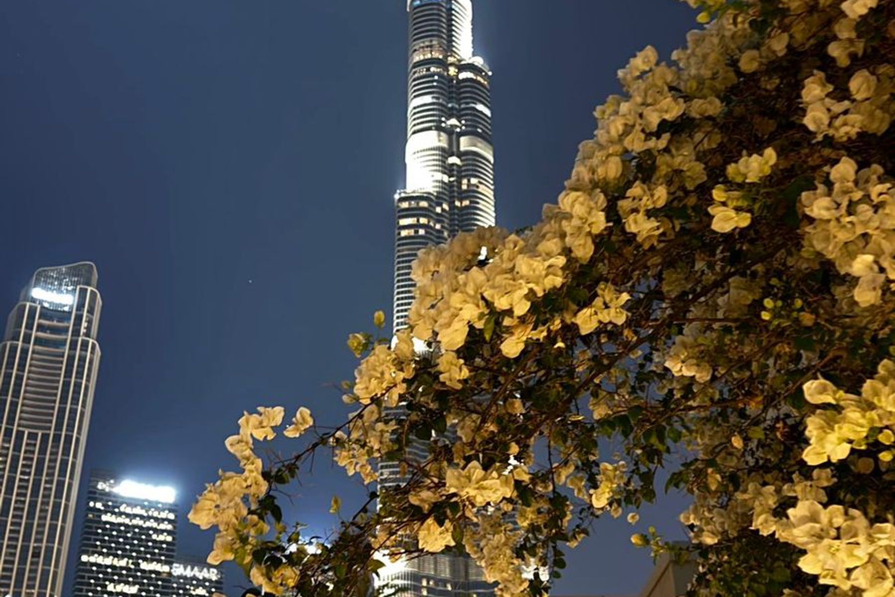 Duplex 3+1 downtown oldtown Attareen